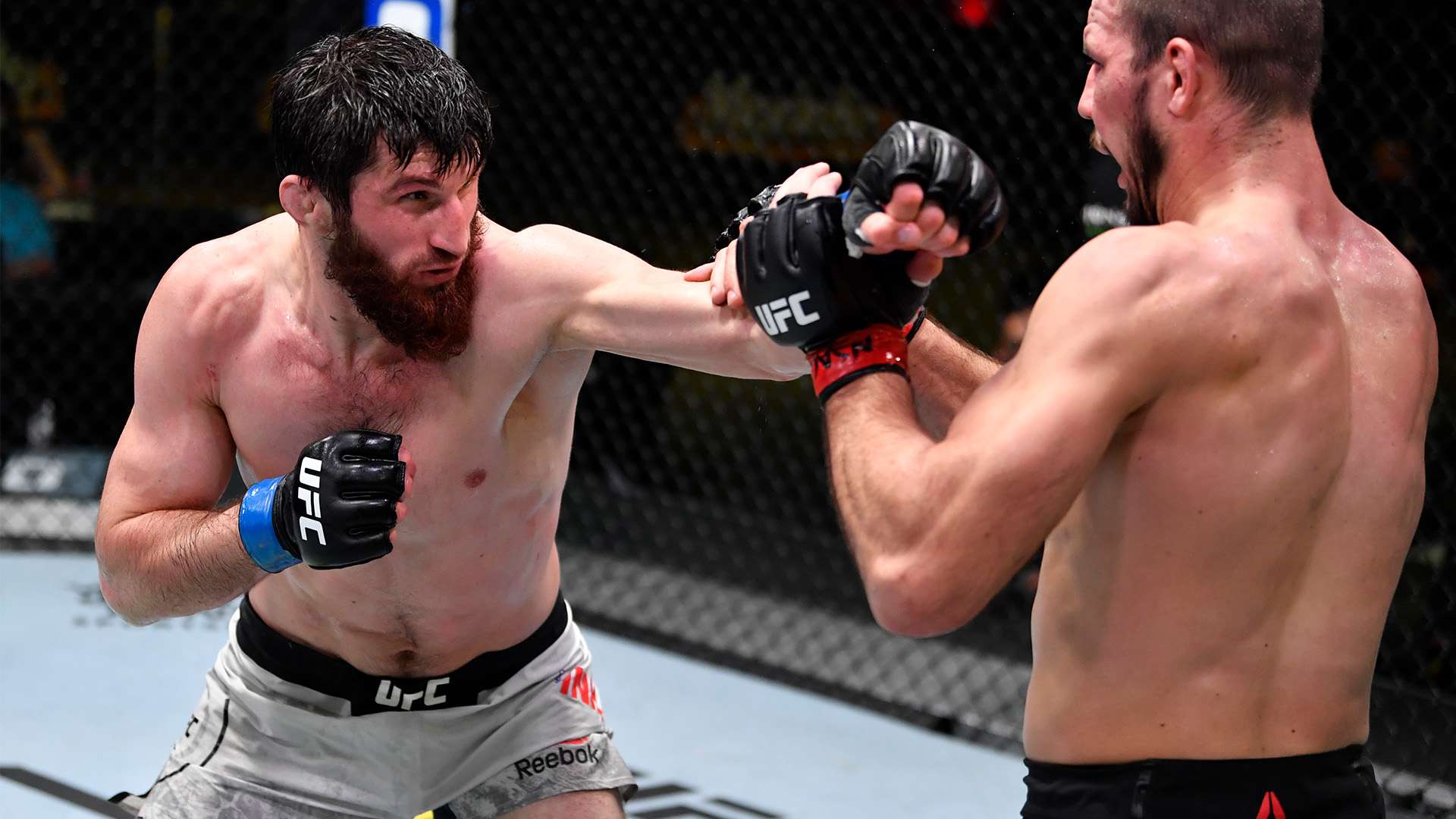 韩国赛林丹内战两局横扫将争冠 距总决赛只差一胜.